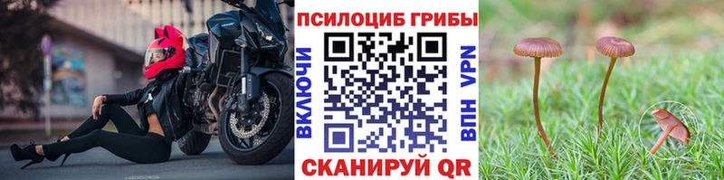 Галлюциногенные грибы мицелий  Нурлат 